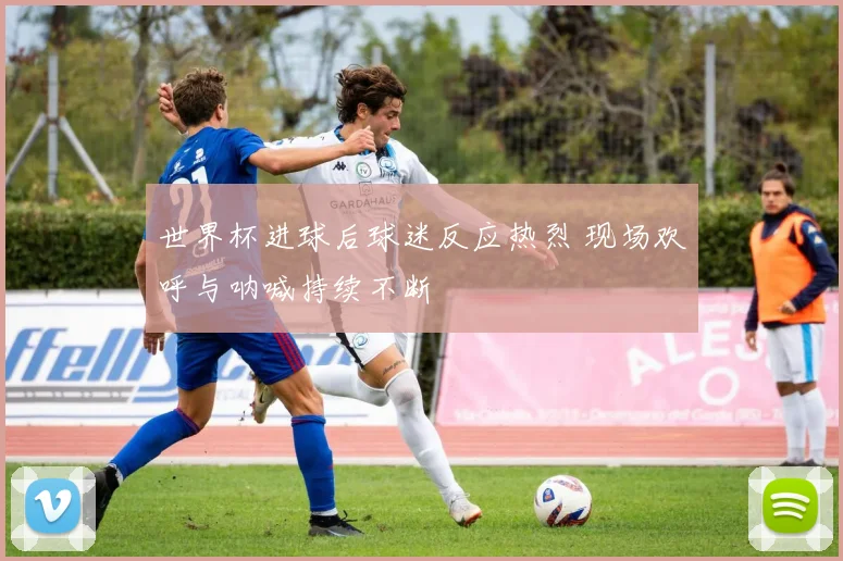 世界杯进球后球迷反应热烈 现场欢呼与呐喊持续不断