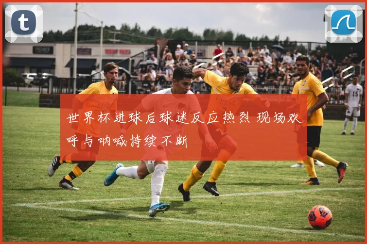 世界杯进球后球迷反应热烈 现场欢呼与呐喊持续不断