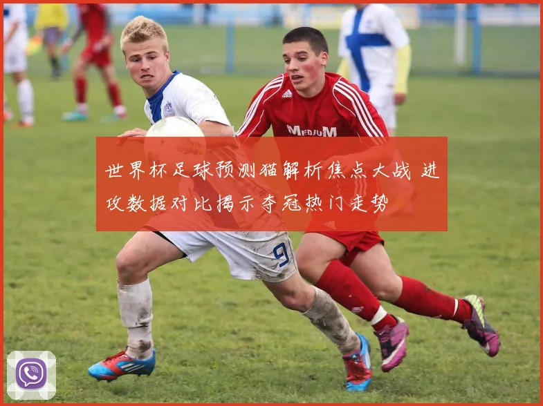 世界杯足球预测猫解析焦点大战 进攻数据对比揭示夺冠热门走势