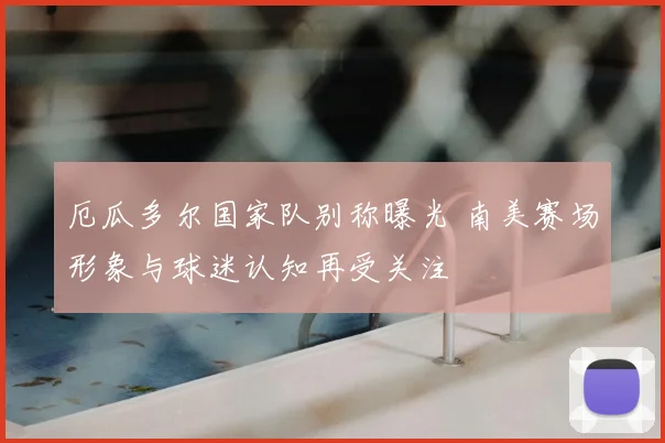 厄瓜多尔国家队别称曝光 南美赛场形象与球迷认知再受关注