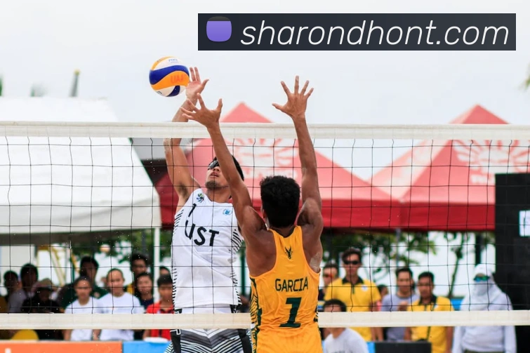 乐竞入口平台生态图